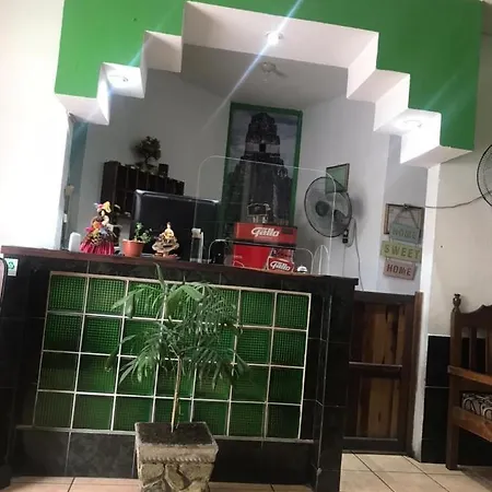Green Monkey Hostel